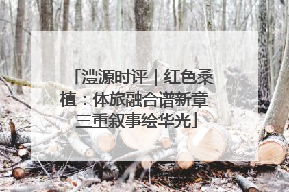 澧源时评｜红色桑植：体旅融合谱新章 三重叙事绘华光