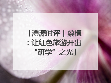 澧源时评｜桑植：让红色旅游开出“研学”之光