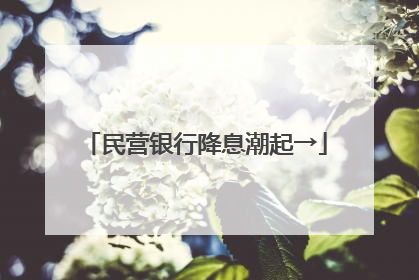民营银行降息潮起→