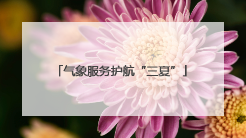 气象服务护航“三夏”