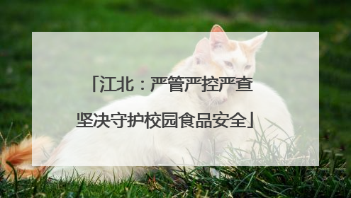江北：严管严控严查 坚决守护校园食品安全