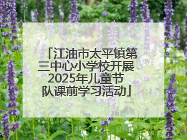 江油市太平镇第三中心小学校开展2025年儿童节队课前学习活动