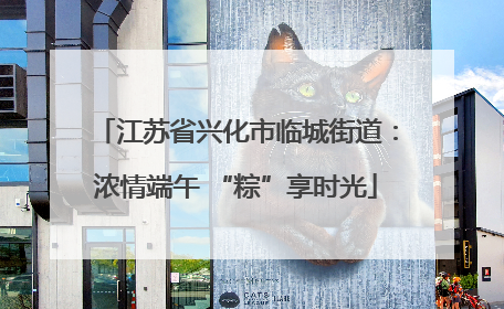江苏省兴化市临城街道：浓情端午 “粽”享时光
