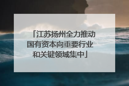 江苏扬州全力推动国有资本向重要行业和关键领域集中