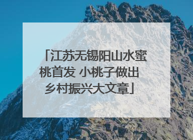 江苏无锡阳山水蜜桃首发 小桃子做出乡村振兴大文章