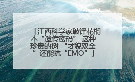 江西科学家破译花榈木“遗传密码” 这种珍贵的树 “才貌双全”还能抗“EMO”