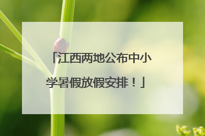 江西两地公布中小学暑假放假安排！
