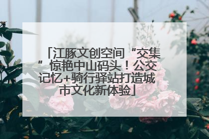 江豚文创空间“交集”惊艳中山码头！公交记忆+骑行驿站打造城市文化新体验