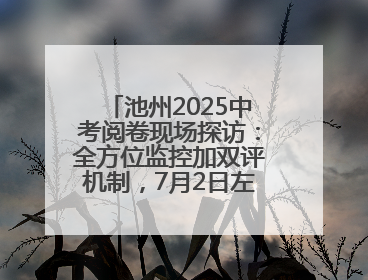 池州2025中考阅卷现场探访：全方位监控加双评机制，7月2日左右公布成绩