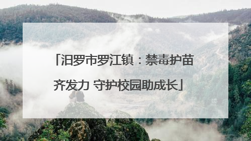 汨罗市罗江镇：禁毒护苗齐发力 守护校园助成长