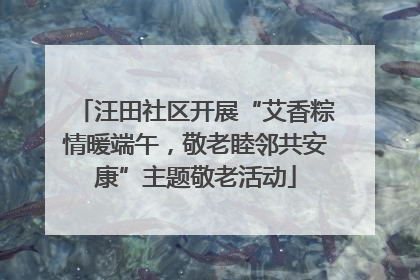 汪田社区开展“艾香粽情暖端午，敬老睦邻共安康”主题敬老活动