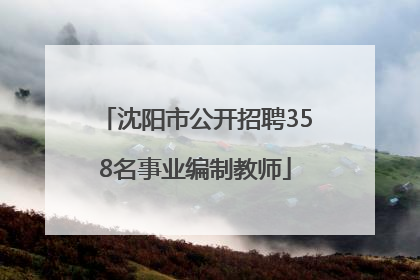沈阳市公开招聘358名事业编制教师