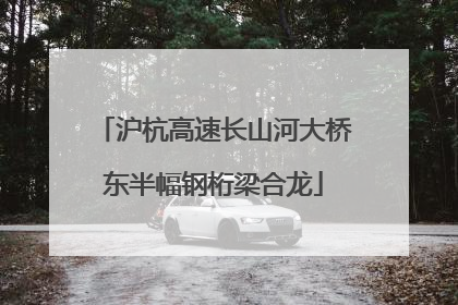 沪杭高速长山河大桥东半幅钢桁梁合龙