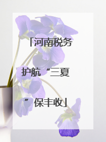 河南税务护航“三夏”保丰收