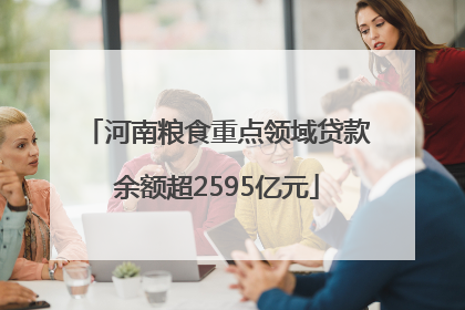 河南粮食重点领域贷款余额超2595亿元
