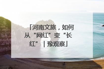 河南文旅，如何从“网红”变“长红”｜豫观察