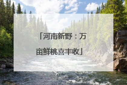 河南新野：万亩鲜桃喜丰收