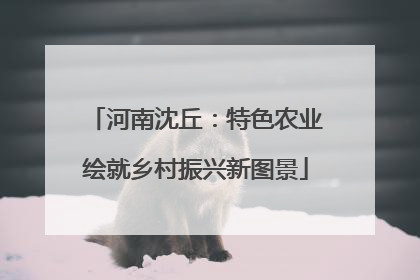 河南沈丘：特色农业绘就乡村振兴新图景