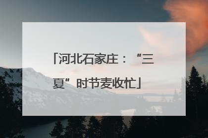 河北石家庄：“三夏”时节麦收忙