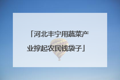 河北丰宁用蔬菜产业撑起农民钱袋子