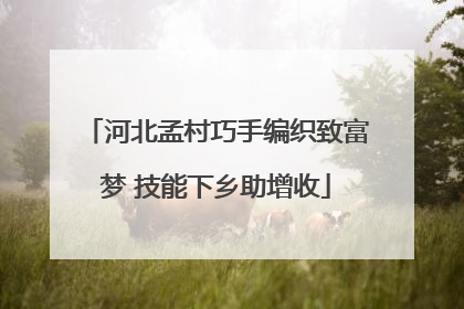 河北孟村巧手编织致富梦 技能下乡助增收