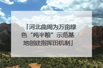 河北曲周为万亩绿色“吨半粮”示范基地创建指挥田机制