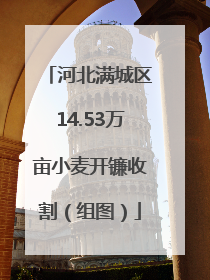 河北满城区14.53万亩小麦开镰收割（组图）