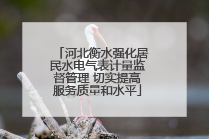 河北衡水强化居民水电气表计量监督管理 切实提高服务质量和水平