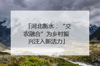 河北衡水：“交农融合”为乡村振兴注入新活力