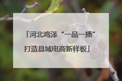 河北鸡泽“一品一播”打造县域电商新样板