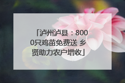 泸州泸县：8000只鸡苗免费送 乡贤助力农户增收