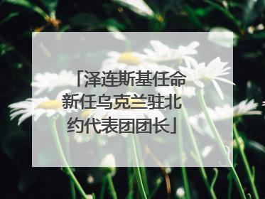泽连斯基任命新任乌克兰驻北约代表团团长