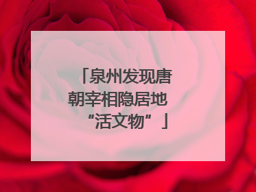 泉州发现唐朝宰相隐居地“活文物”
