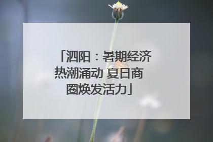 泗阳：暑期经济热潮涌动 夏日商圈焕发活力