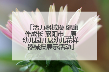 活力器械操 健康伴成长 襄阳市三原幼儿园开展幼儿花样器械操展示活动