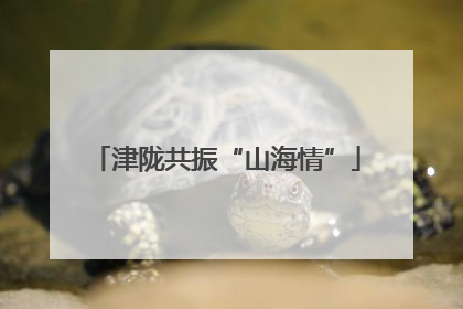 津陇共振“山海情”