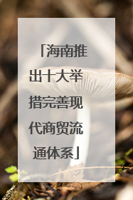 海南推出十大举措完善现代商贸流通体系
