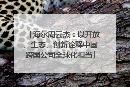 海尔周云杰：以开放、生态、创新诠释中国跨国公司全球化担当