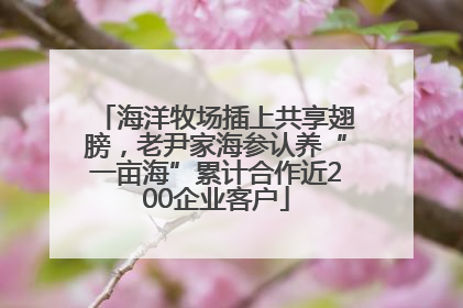 海洋牧场插上共享翅膀，老尹家海参认养“一亩海”累计合作近200企业客户