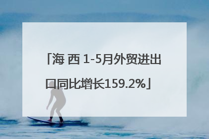 海 西 1-5月外贸进出口同比增长159.2%