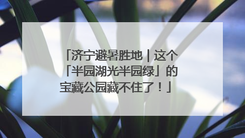 济宁避暑胜地｜这个「半园湖光半园绿」的宝藏公园藏不住了！