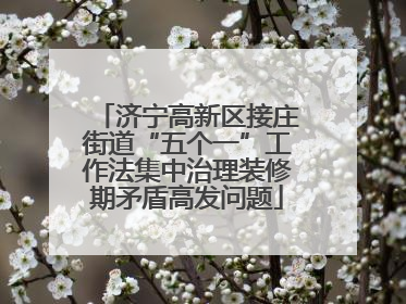 济宁高新区接庄街道“五个一”工作法集中治理装修期矛盾高发问题