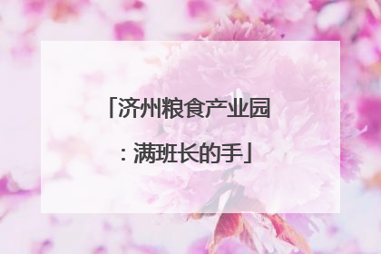 济州粮食产业园：满班长的手