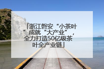 浙江磐安“小茶叶”成就“大产业”，全力打造50亿级茶叶全产业链