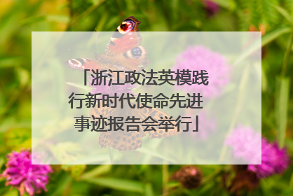 浙江政法英模践行新时代使命先进事迹报告会举行