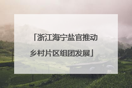 浙江海宁盐官推动乡村片区组团发展