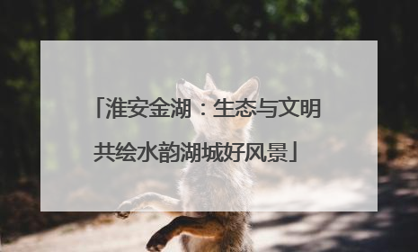 淮安金湖：生态与文明共绘水韵湖城好风景