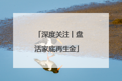 深度关注丨盘活家底再生金