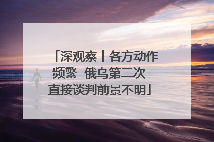 深观察丨各方动作频繁  俄乌第二次直接谈判前景不明