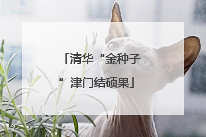 清华“金种子”津门结硕果